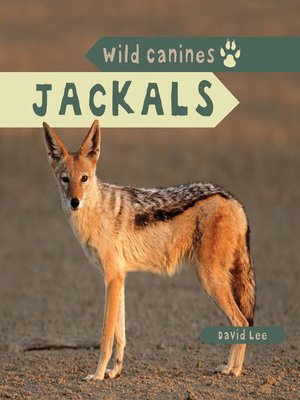 Jackals - ebook